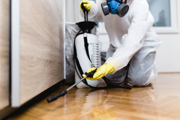 Best Termite Control Services  in Robertsde, AL