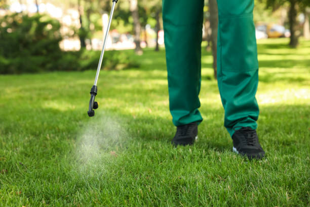 Best Bed Bug Extermination  in Robertsde, AL