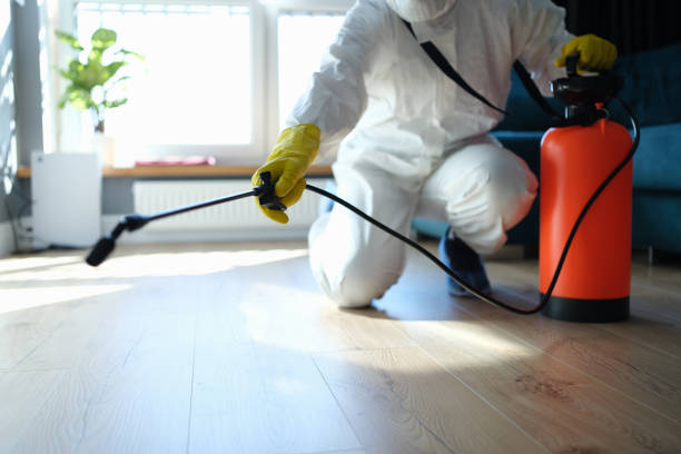 Best Flea Control Services  in Robertsde, AL
