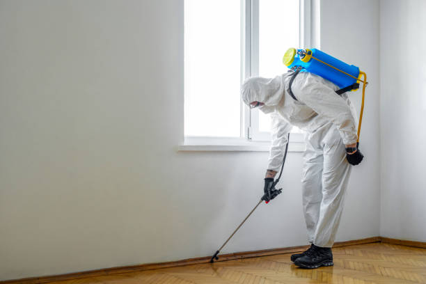 Best Pest Control Near Me in Robertsdale, AL
