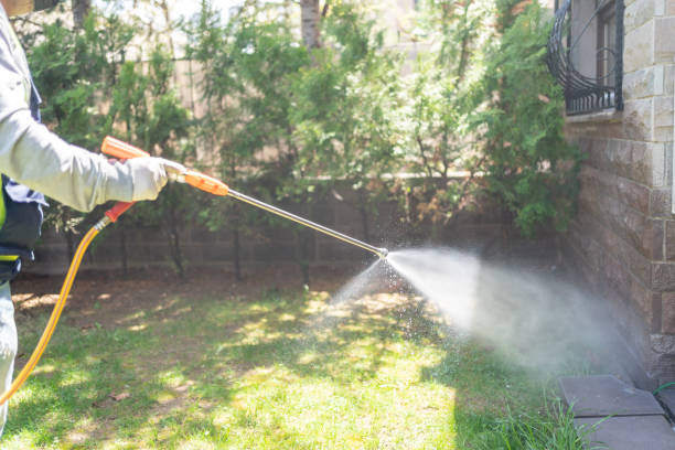 Bird Control in Robertsdale, AL