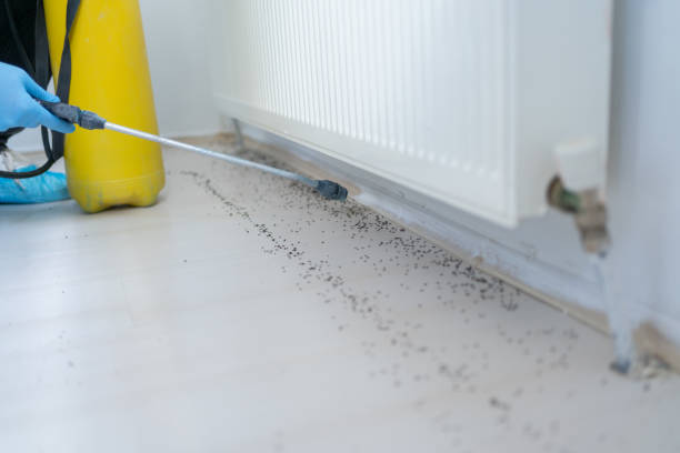 Best Rat Extermination Near Me  in Robertsde, AL