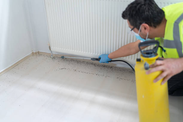 Best Best Pest Control Near Me  in Robertsde, AL